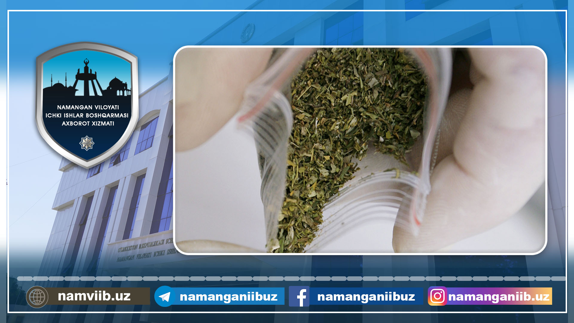 Yashash uyida marixuana saqlab kelayotgan fuqaroga chora ko‘rildi