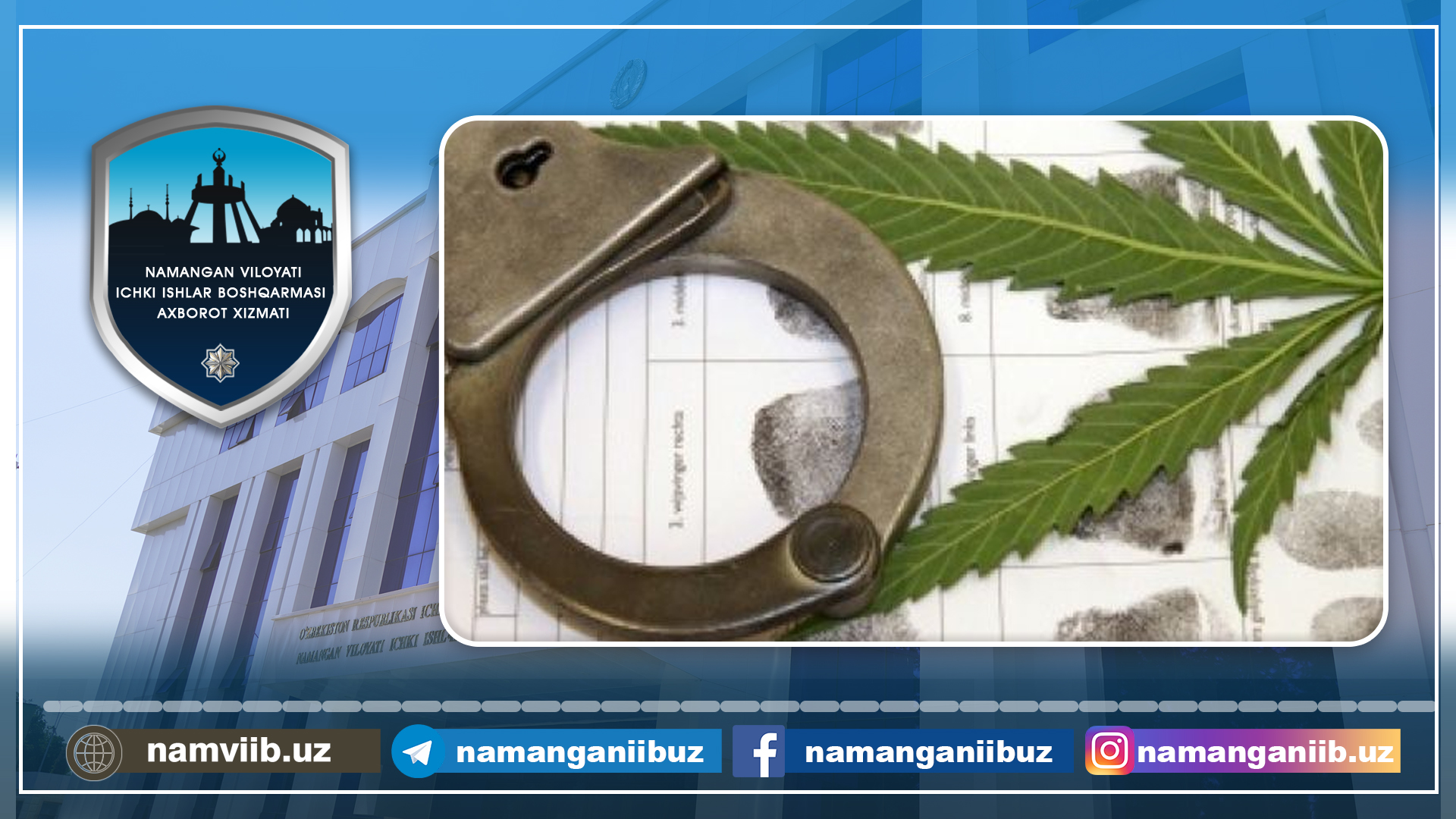 Tomorqasida kannabis o‘simligi parvarishlab kelayotgan shaxs aniqlandi